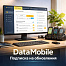 Подписка на обновления ПО DataMobile для версий LifeTime
