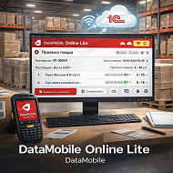 DataMobile Online Lite